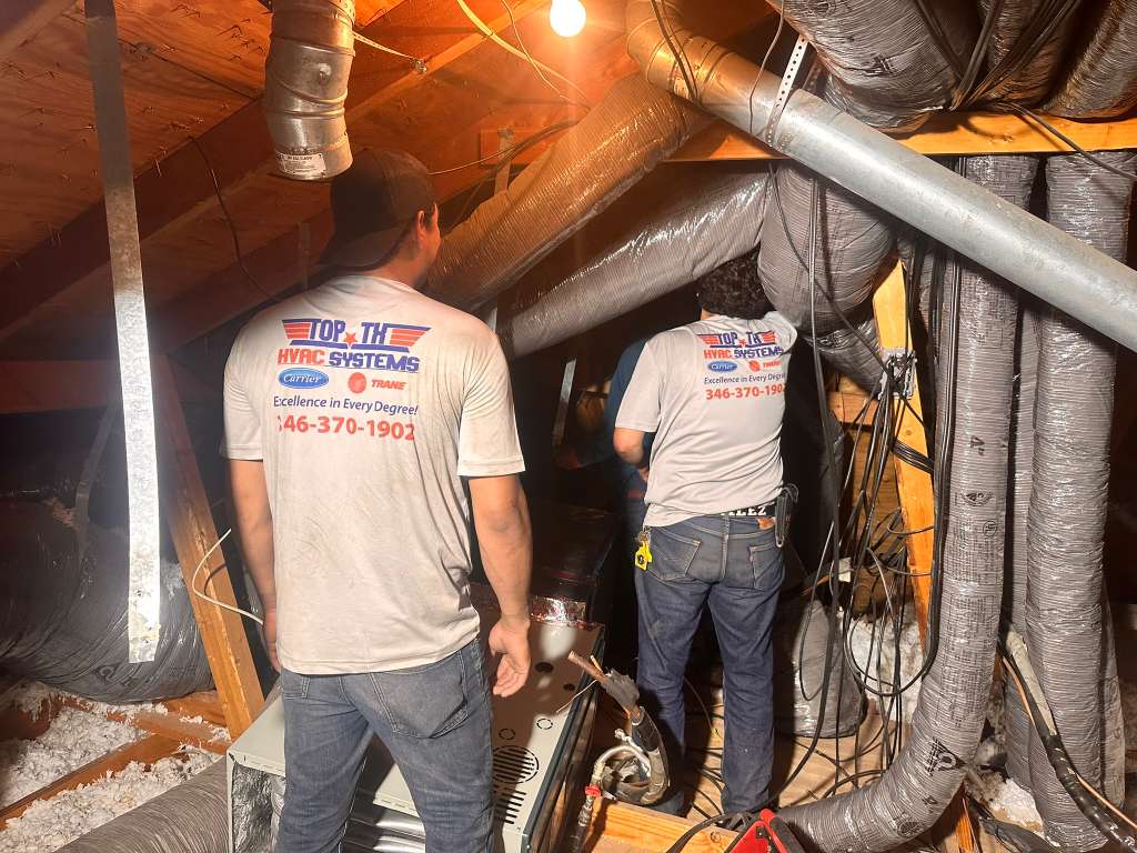 whatsapp image 2025 12 18 at 5.54.13 pm (1)