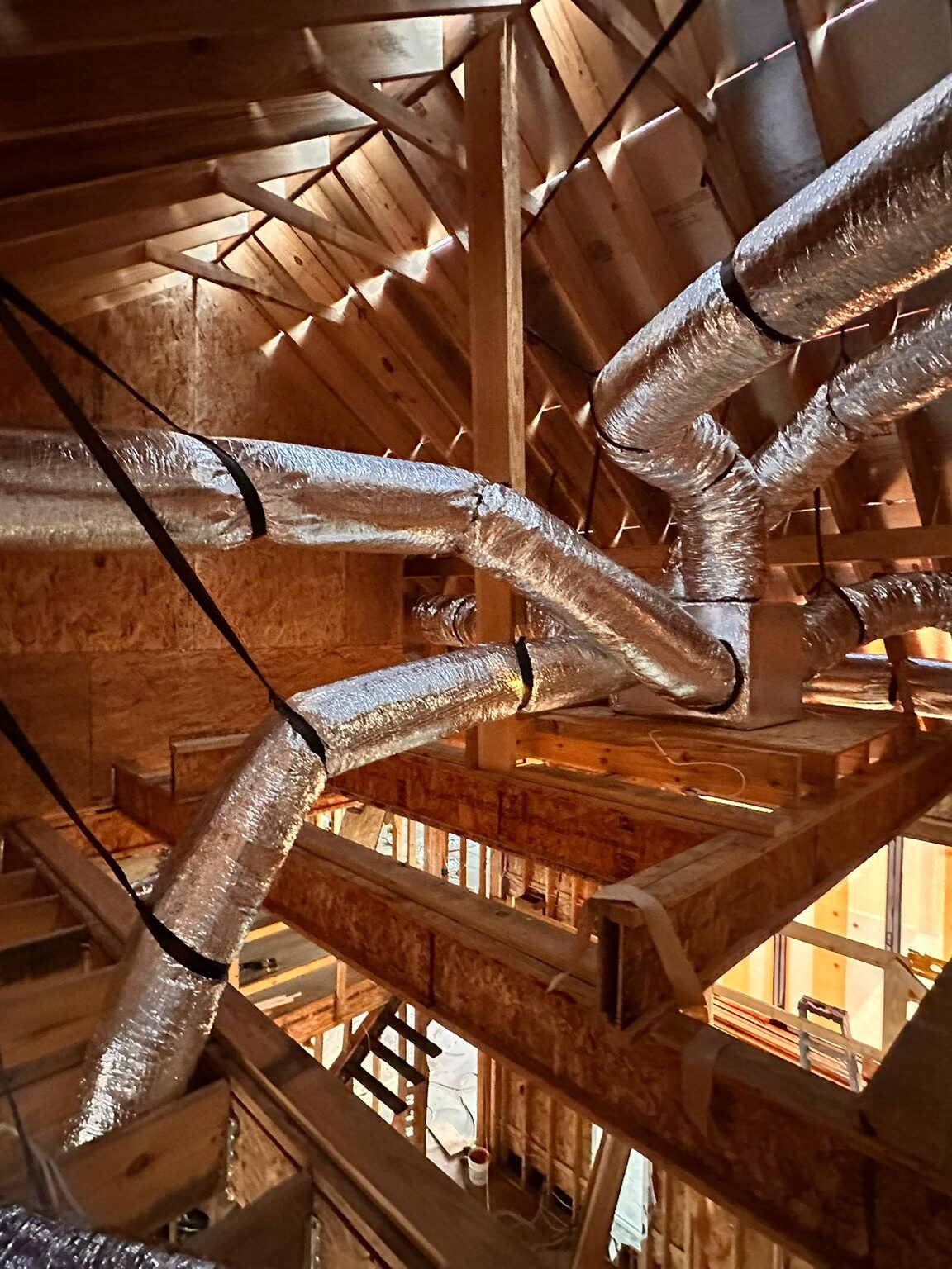 Projetcs img 1807.jpg copia